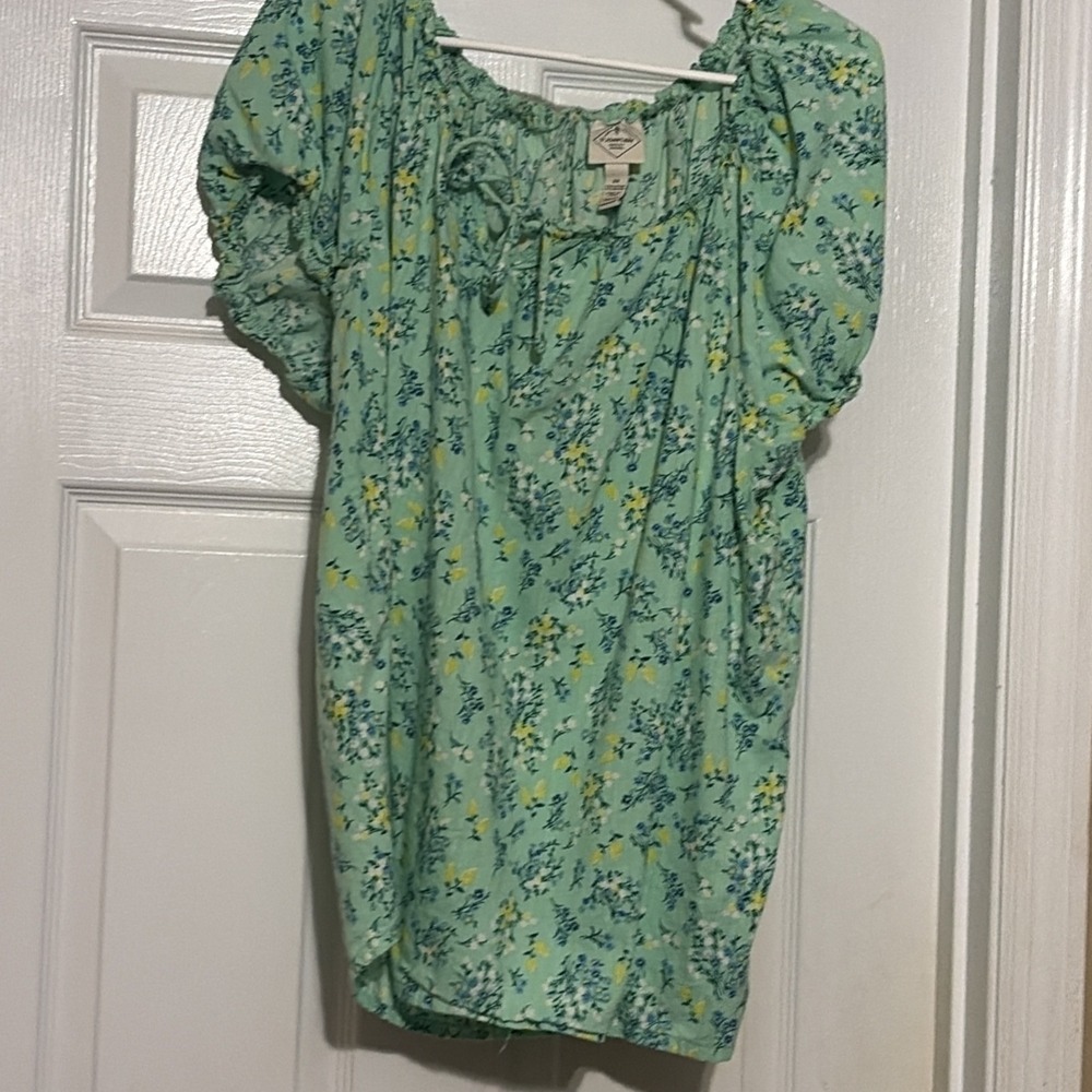 Light Green Floral Peasant Top, Womens Plus Size Tops, Size 2x, St. Johns Bay